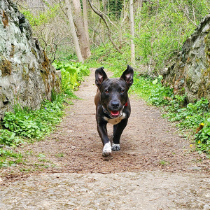 Fundraising Page: Stella West PAC ALUM